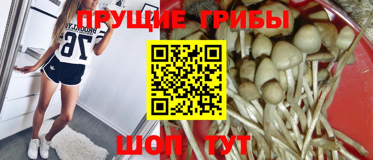 Галлюциногенные грибы MAGIC MUSHROOMS Учалы